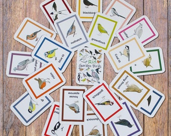 Garden Birds Flash Cards, 20 Childrens Wildlife Identification Cards, Home Schooling, Nature Education Flashcards