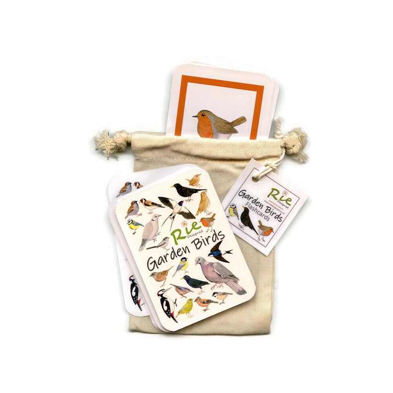 Garden Birds Flash Cards, 20 Childrens Wildlife Identification Cards ...