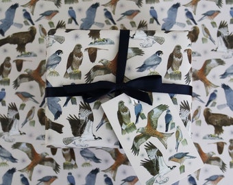 British Bird of Prey Wrapping Paper, Hen Harrier, Eagle, Osprey, Red Kite, Peregrine, Kestrel Gift Wrap + Tags Full Sheets 50x70cm