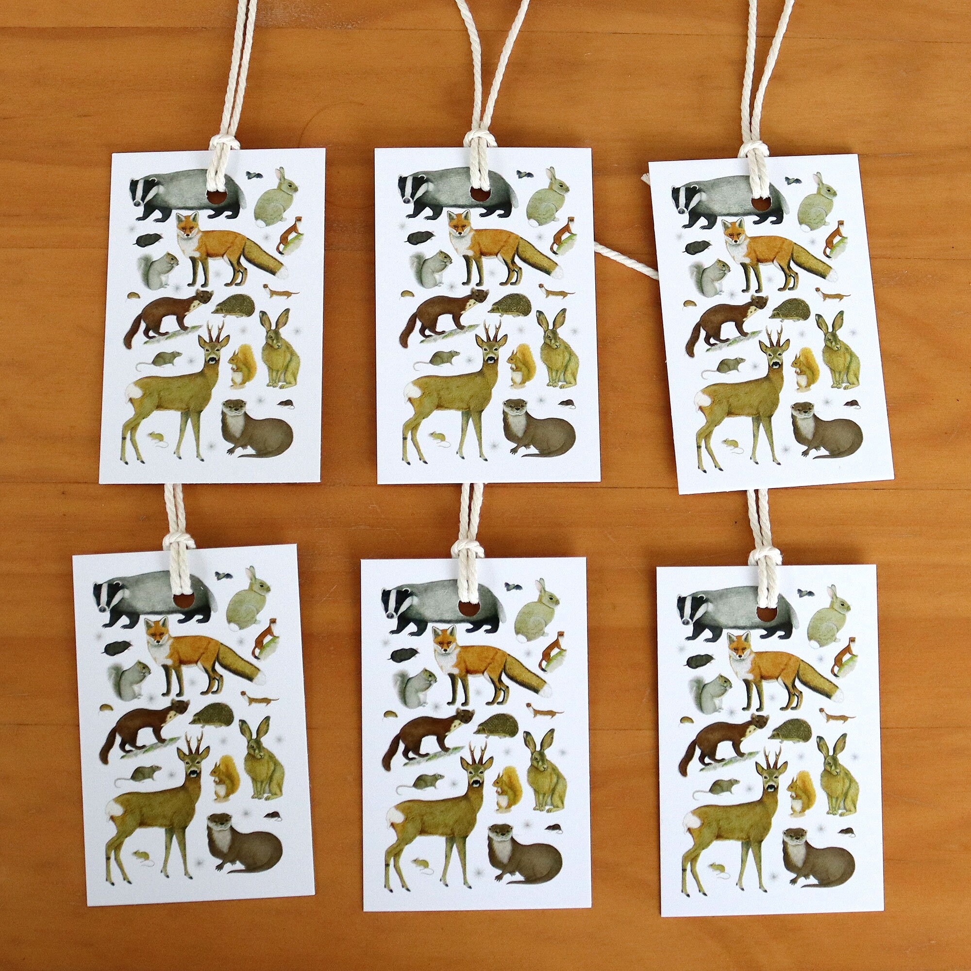 Wild Animal Wrapping Paper British Woodland Mammals Gift Wrap Tags Full  Sheets 50x70cm Fox, Badger, Hedgehog, Hare, Red Squirrel 