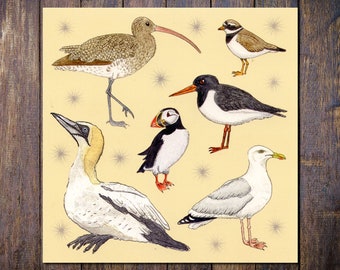 Seabirds Card, Blank Square, Birdwatching, Birds, Fathers Day, Birthday, Oystercatcher, Curlew, Herring Gull, Gannet, Puffin, Ringed Plover