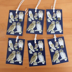 May include: Six navy blue gift tags with illustrations of owls. Each tag features a variety of owl species perched on branches or stumps. The tags are rectangular with white string attached for hanging. The background is a light brown wooden surface.