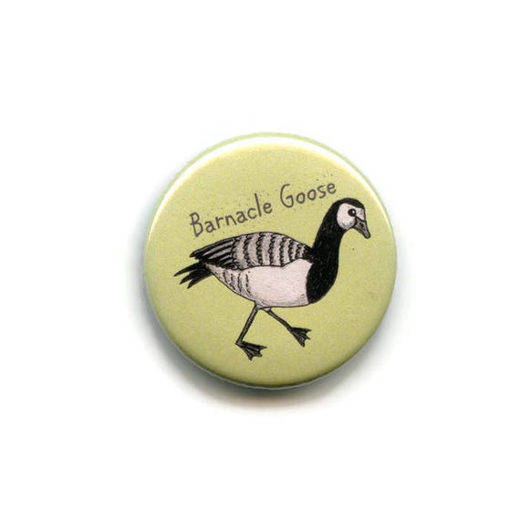 British Wildlife 38mm badges & Fridge Magnets collector animals wild bird UK British Wildlife 38mm badges & Fridge Magnets collector animals wild bird UK