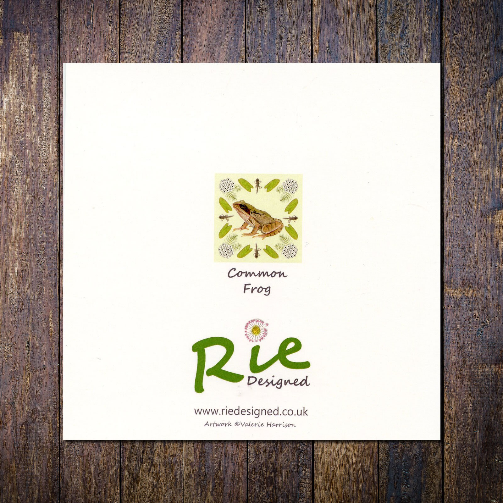Common Frog Card Frog Lifecycle Square Blank Greetings Card - Etsy UK