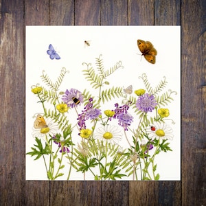 Wildflower Meadow Card, British Wild Flowers, Butterflies & Bees Blank Square Greetings Card Scabious, Vetch, Buttercups, Daisies Notecard