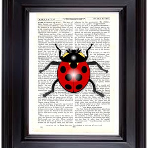 Könnte beinhalten: Ein roter Marienkäfer mit schwarzen Punkten sitzt auf einer Seite eines alten Buches über historische Persönlichkeiten. Der Text auf der Seite handelt vom Leben von Marcus Antonius und der Schlacht von Blenheim.