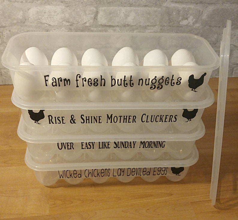 3 Plastic Egg Container Set Of3 Containers Egg Container Etsy