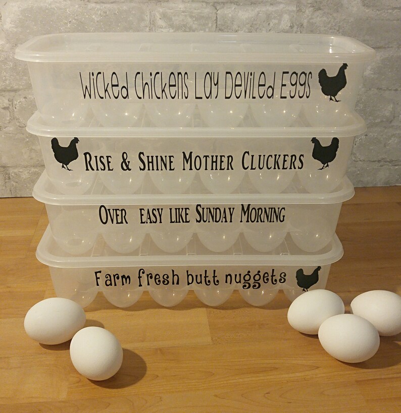 3 Plastic Egg Container Set Of3 Containers Egg Container Etsy