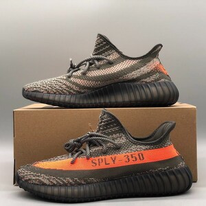 Beluga 3.0 top