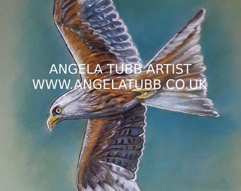 Red Kite archival Matt A4  high quality print