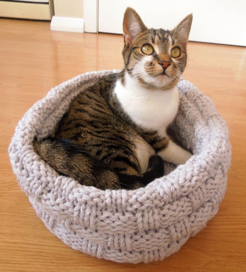 May include: A tabby and white cat resting in a gray knitted cat bed. The cat is looking up and has green eyes.