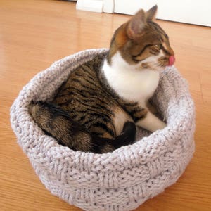 May include: A gray knitted cat bed with a tabby cat resting inside. The cat bed is made with a woven pattern and has a round shape.