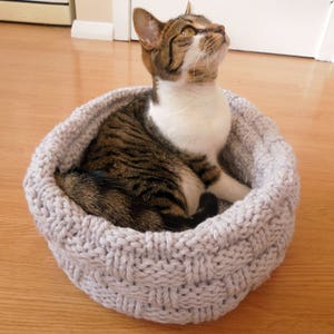 May include: A gray knitted cat bed with a tabby cat sitting inside. The cat is looking up and has white fur on its chest and paws.