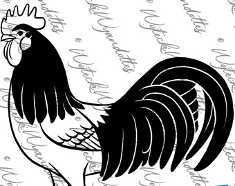 Exhibition Lakenvelder Chicken Vinyl Decal
