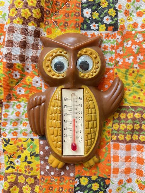 Vintage Refrigerator Thermometer - Etsy