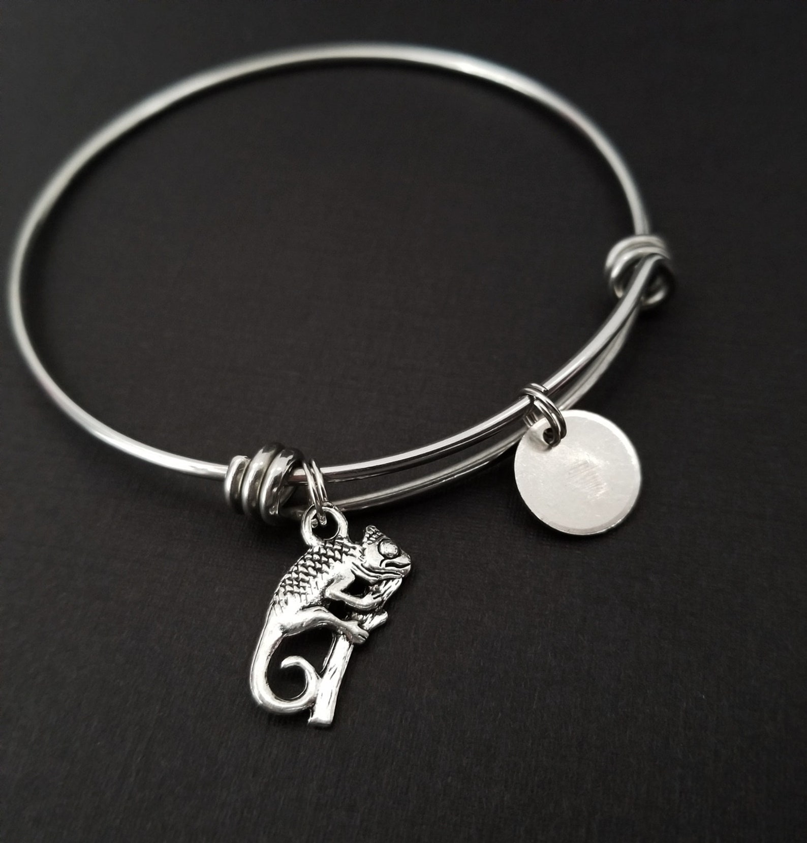 Chameleon Bangle Chameleon Charm Bracelet Expandable Etsy