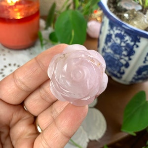 Rose Quartz Crystal Rose Carving // Pink Quartz Rose // Universal Love, Kindness, Friendship // #17