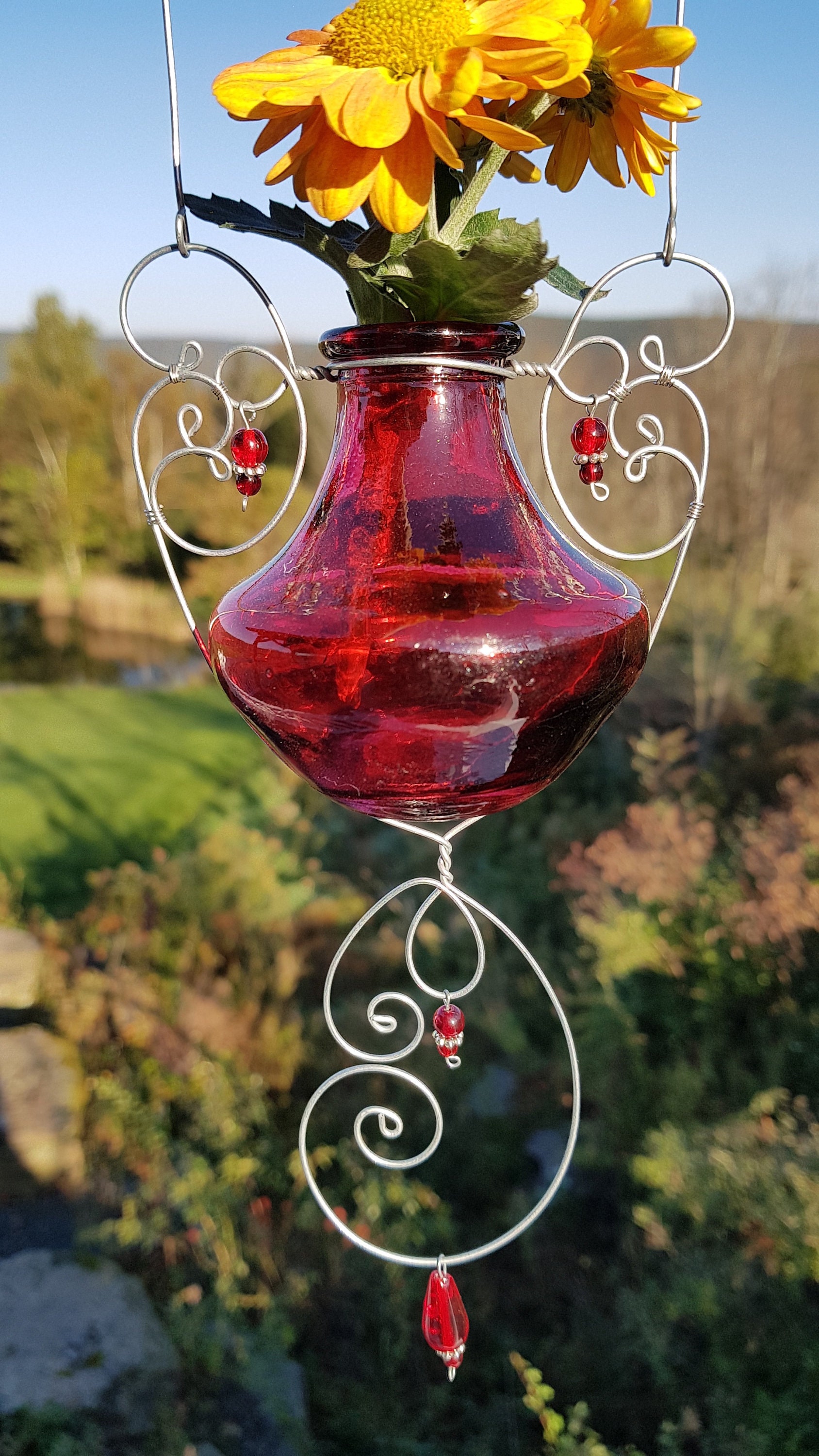 Hanging Glass Vase and Rooter in Bright Colors for the Window Etsy