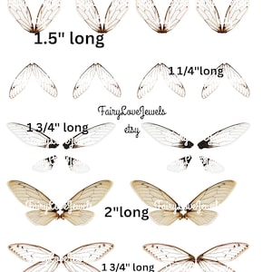 Druckbare realistische Zikadenflügel Sofortiger digitaler Download, PDF, PNG, DIY Feenflügel Ohrringe, Puppenherstellung, Clipart Illustration