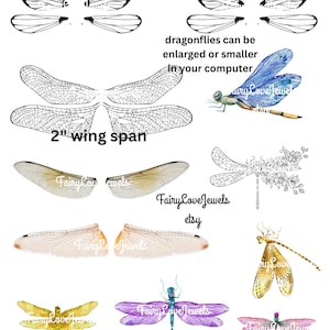 Druckbare schwarz weiße Aquarell Libelle Flügel Sofortiger digitaler Download, pdf, svg, png, DIY Fee Flügel Puppe Ohrringe, Clipart Illustration