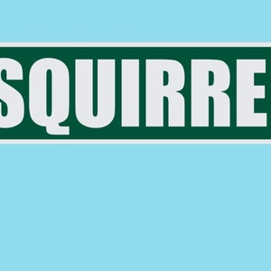 May include: A green street sign with white text that reads "SQUIRREL ST". The sign is attached to a metal pole.