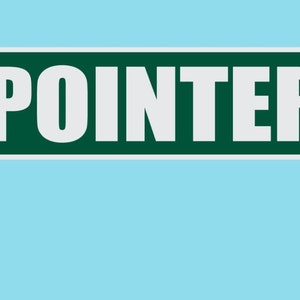 May include: A green street sign with white lettering that reads "POINTER ST". The sign is attached to a gray metal pole.