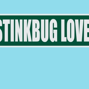 May include: A green street sign with white lettering that reads "STINKBUG LOVER ST" is mounted on a metal pole. The background is a light blue color.