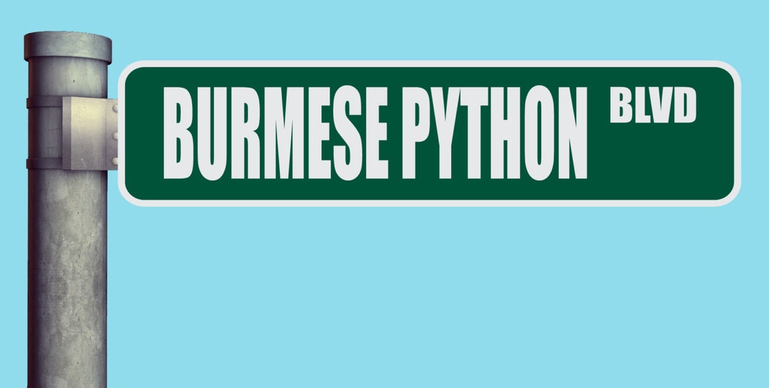 Burmese Python BLVD Street Sign Boulevard Heavy Duty Aluminum Warning ...