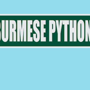 May include: A green street sign with white text that reads "BURMESE PYTHON BLVD".