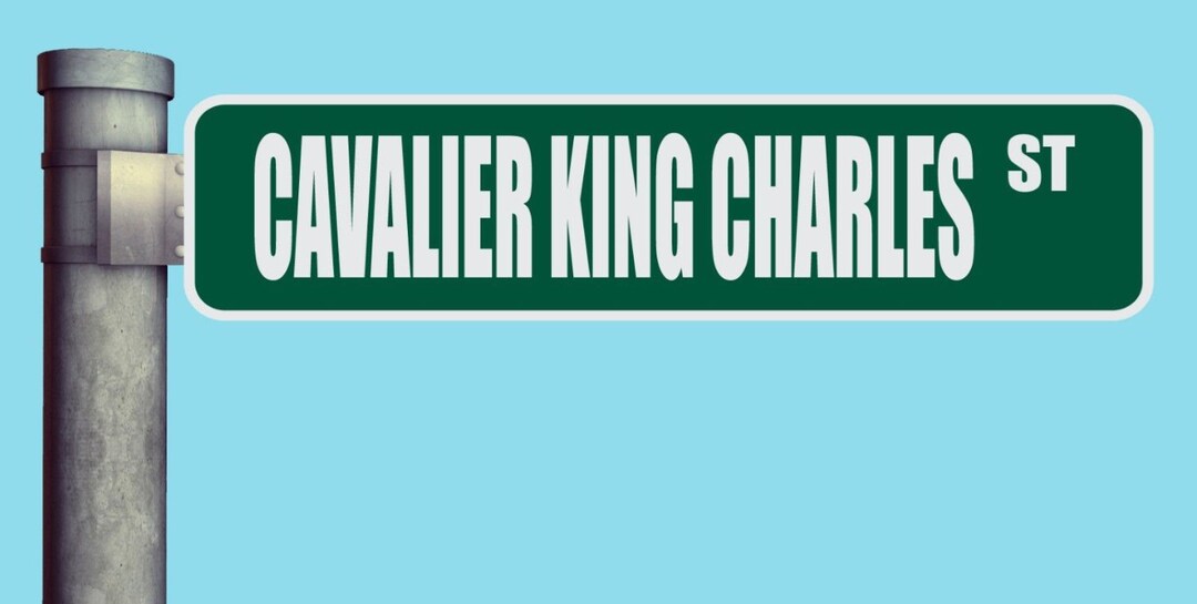 Cavalier King Charles ST Street Sign Heavy Duty Aluminum Warning ...