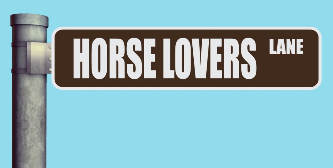 Horse Lovers Lane Street Sign Heavy Duty Aluminum Warning Etsy