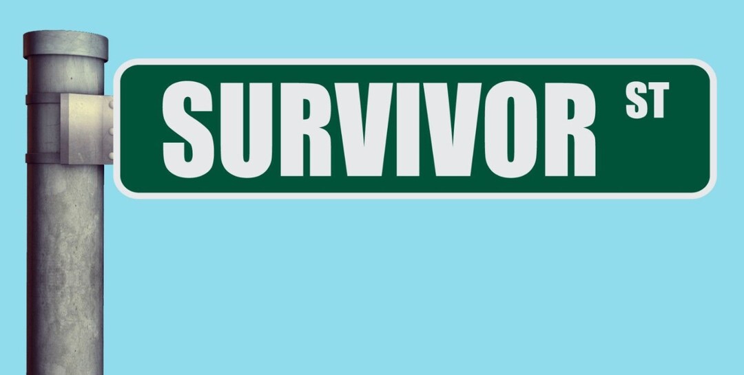Survive Signage Survivor ST Street Sign Heavy Duty Aluminum Warning Parking Sign 17