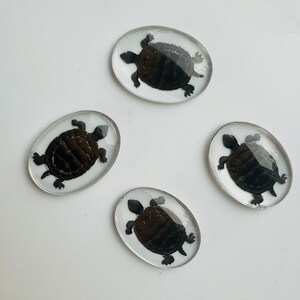 May include: Four oval-shaped resin paperweights, each featuring a black silhouette of a turtle.