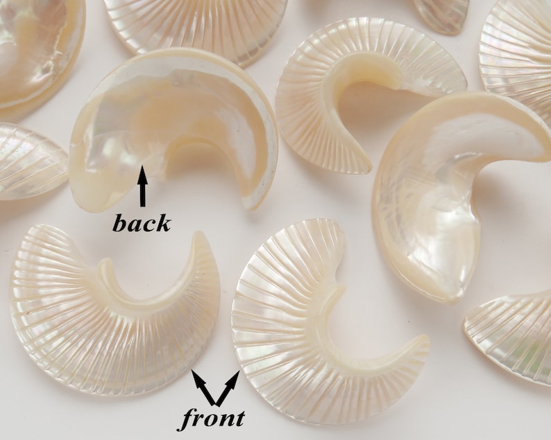 Vintage Japanese Mother of Pearl Shell-shaped Pieces - 2 VERSIONS ...