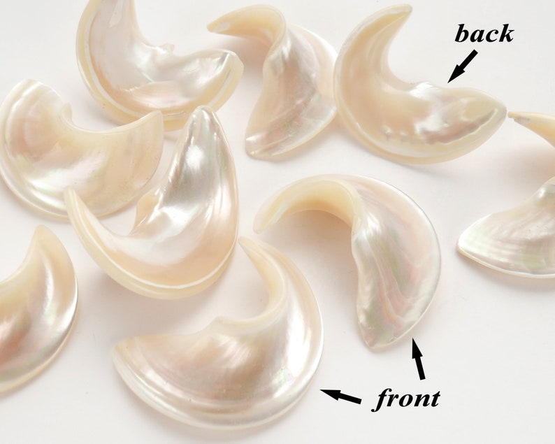 Vintage Japanese Mother of Pearl Shell-shaped Pieces - 2 VERSIONS ...