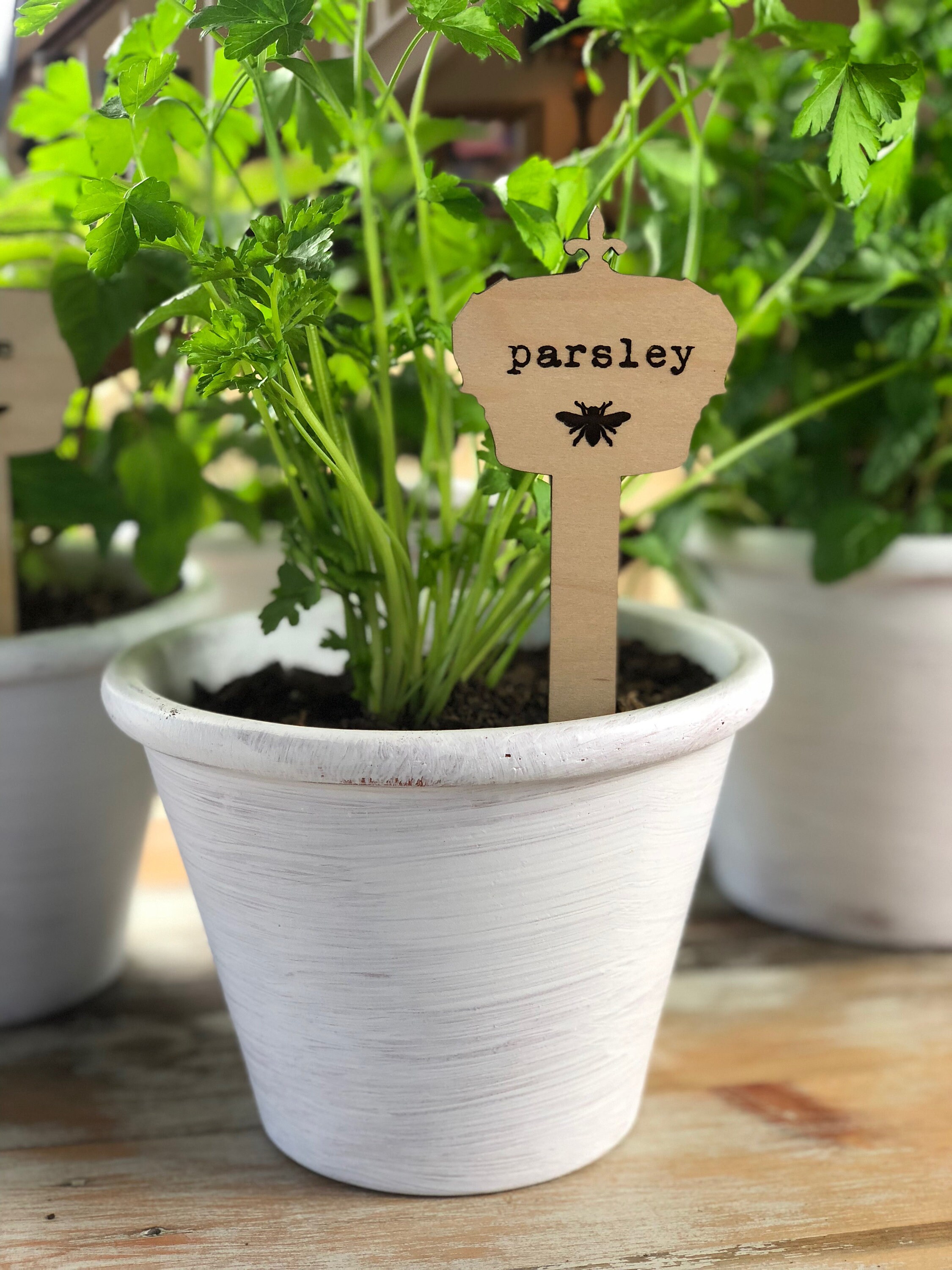 Herb Stakes Wooden Herb Stakes Garden Markers Set of 10