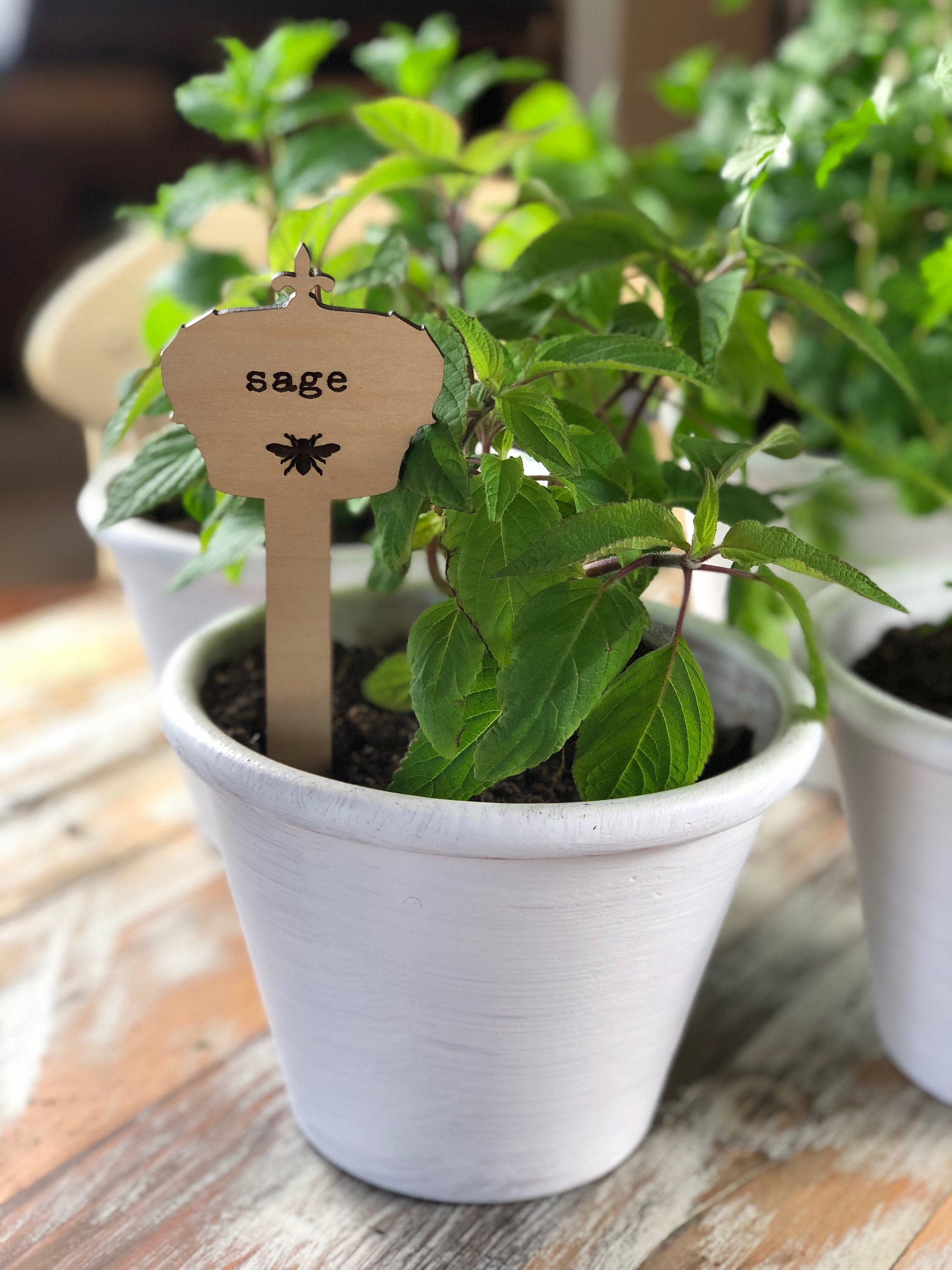 Herb Stakes Wooden Herb Stakes Garden Markers Set of 10