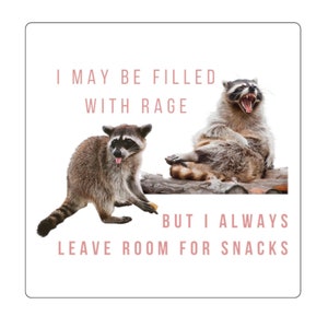 Raccoon Sticker Rat Sticker Trash Panda Sticker Wild Animal Stickers Weirdcore Stickers Weird Stickers Weirdcore Weird Stuff Weird Core