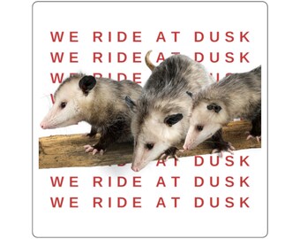 Pegatinas de zarigüeya Pegatinas de Weirdcore Pegatinas raras Pegatina de zarigüeya Pegatina de Weirdcore Pegatinas de zarigüeya Cosas raras de Street Rat Weird Core Opossum