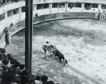 Bull Fighting Matador Tourist Pic Mexico / Art Antique Photography / Original Vintage Photo Snapshot / Found Photo