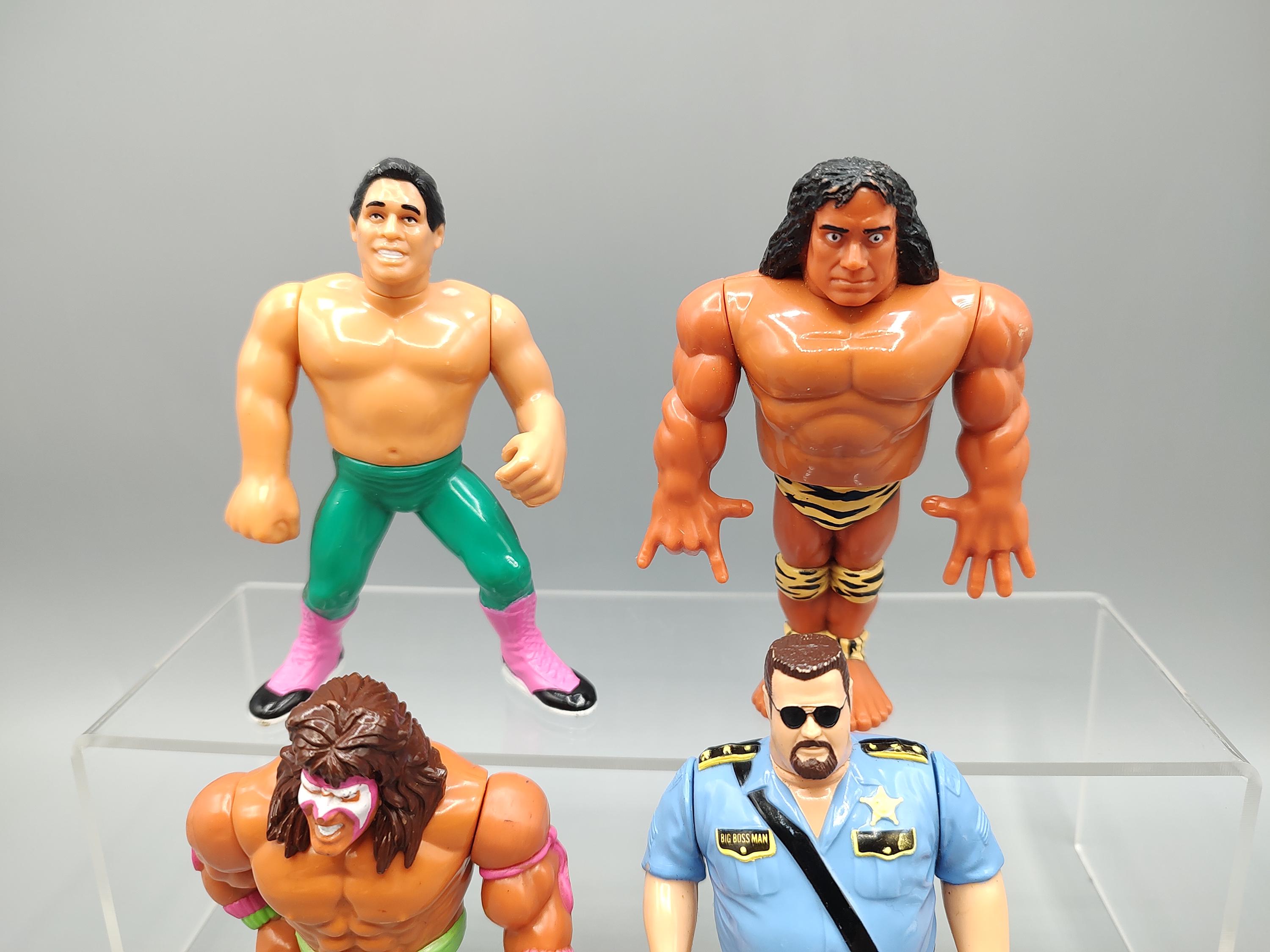 Vintage Wrestling Figure WWE WCW Action Figure / Hasbro Titan