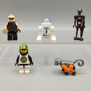 May include: A collection of Lego minifigures, including a figure with sunglasses and a cookie, a white and blue droid, a brown robot, a race car driver, and a gray monkey with orange legs.