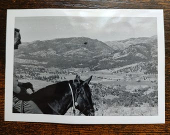 Landscape Man Sitting on Horse / Art Antique Photography / Original Vintage Photo Snapshot / Found Photo