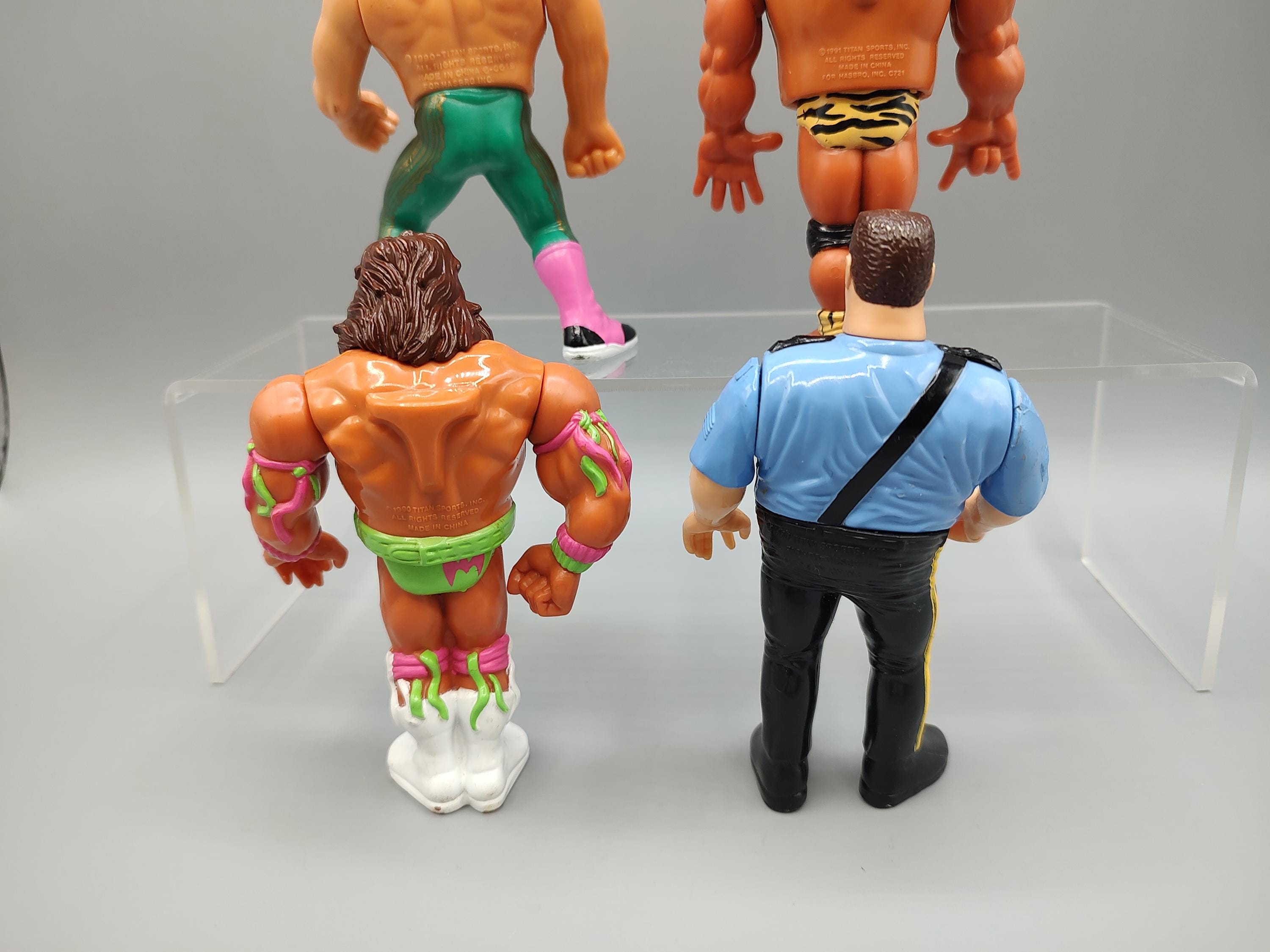 Vintage Wrestling Figure WWE WCW Action Figure / Hasbro Titan
