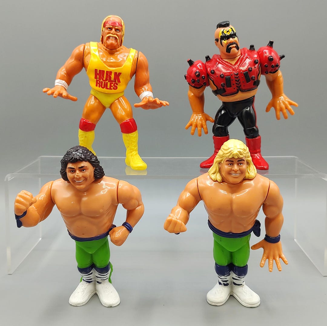 Vintage Wrestling Figure WWE WCW Action Figure Hasbro Titan