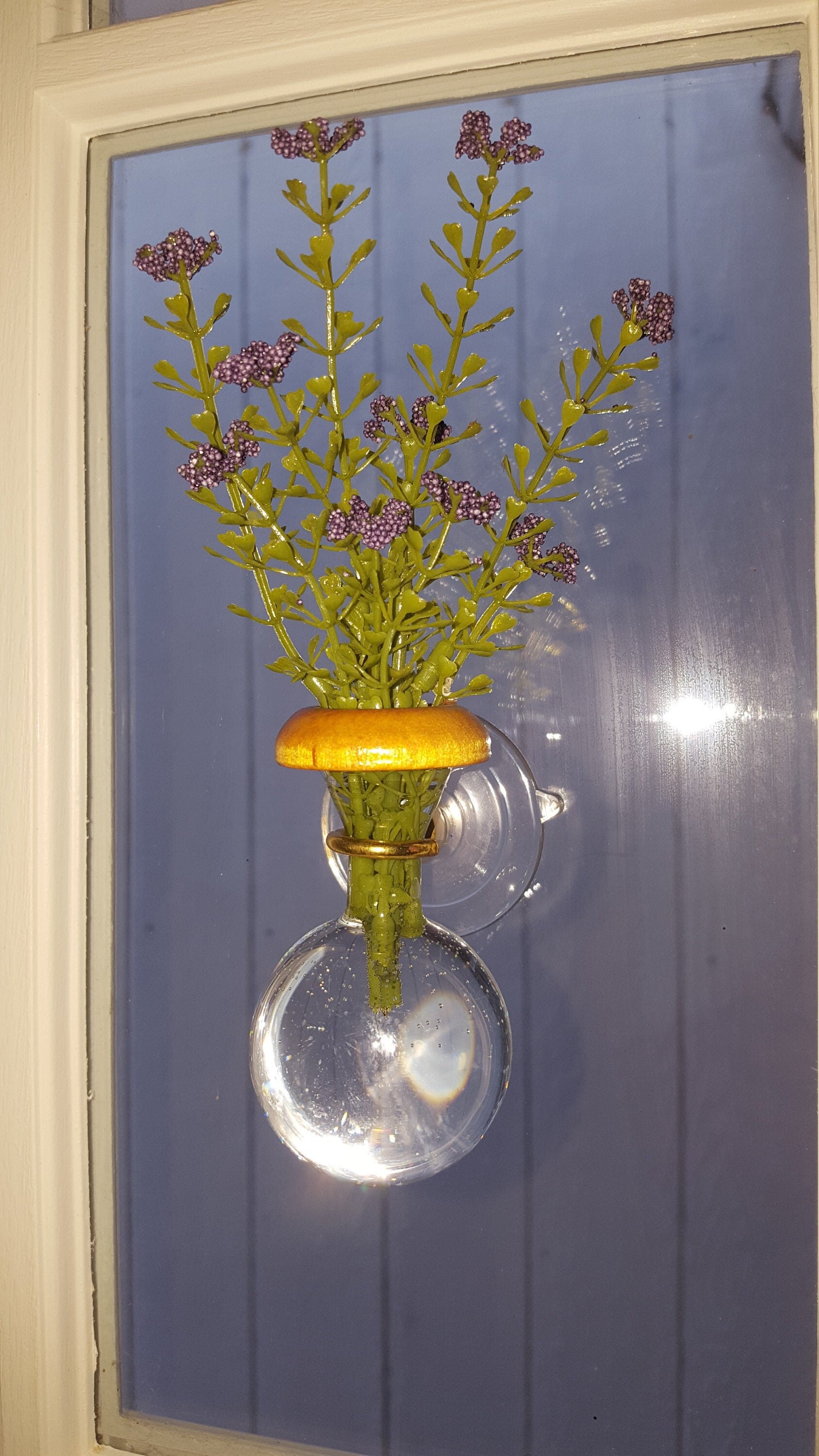 Mini Window Planters Suction Cup Air Plant Qty 4 Gifts Etsy