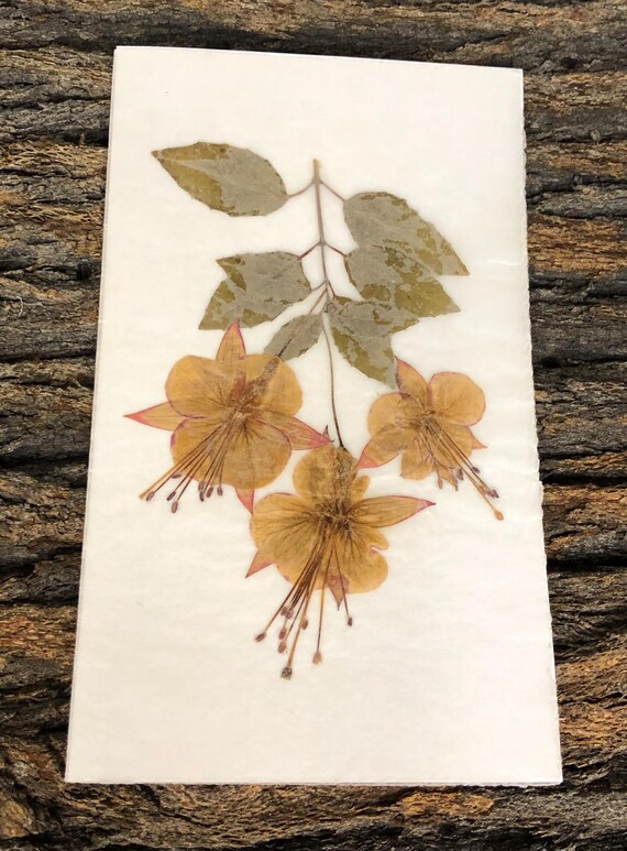 Vintage 90s Handmade Pressed Floral Art Card: Fuchsia Flowers - Etsy