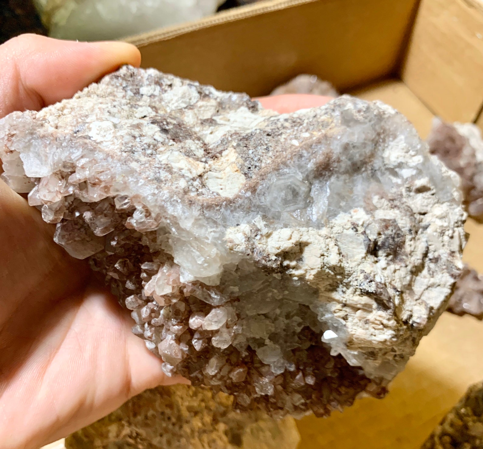 Texas Quartz Enormous Cluster of Terminated Purple and Red Etsy