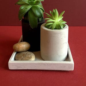 Square Concrete Tray 4 inch, FREE SHIPPING image 6