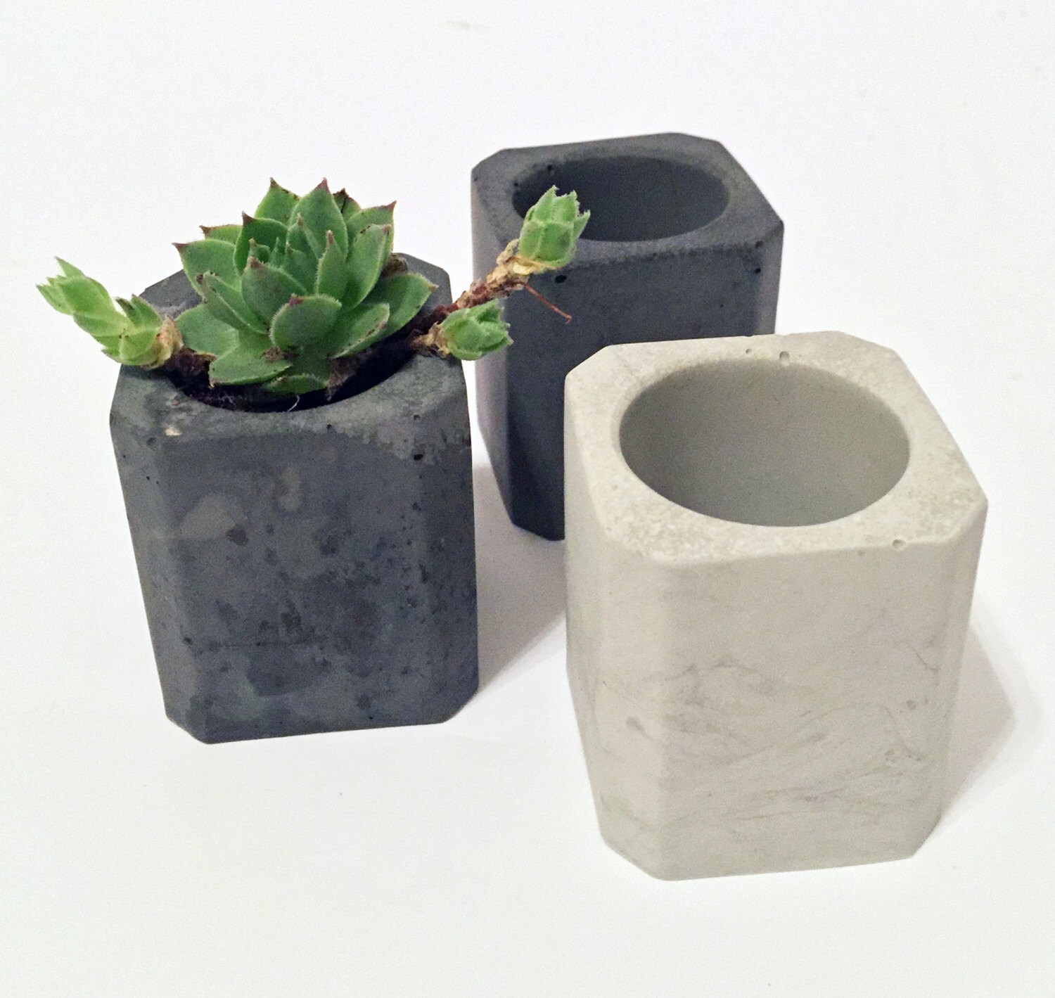 Mini Concrete Planters Etsy